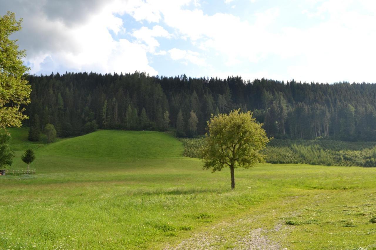 Ferienwohnung Ertlerhof Ranten ภายนอก รูปภาพ